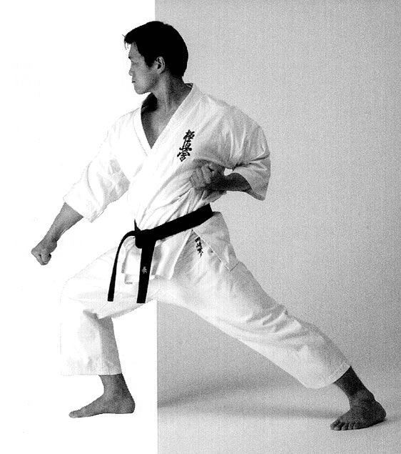 Стойки в кёкушинкай каратэ (фото и видео)